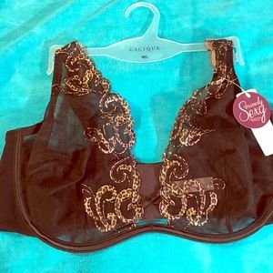 Cacique Intimates “Seriously Sexy” Sheer Lace Bra